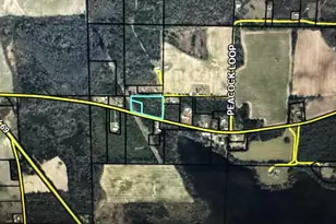 6834 Butler Rd, Grand Ridge, FL 32442 - Photo 1