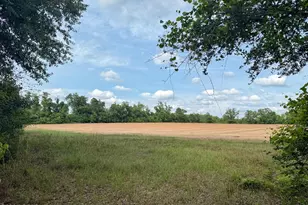00 Delta Ln, Marianna, FL 32448 - Photo 1
