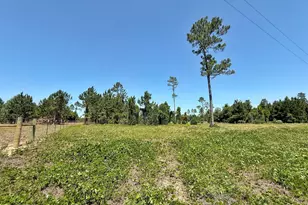 00 Solitaire Trail, Marianna, FL 32446 - Photo 1
