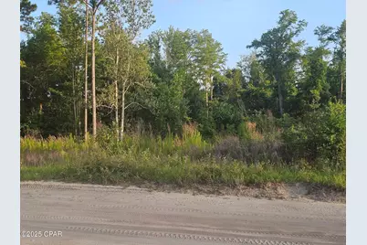 9214 Hwy 2301 Road, Youngstown, FL 32466 - Photo 1