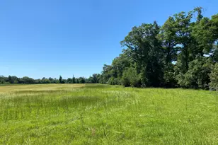 00 Bevis Rd, Malone, FL 32445 - Photo 1