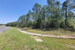 Tbd Us-231, Alford, FL 32420 - Photo 1