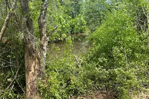 35 Indian Bluff Dr, Youngstown, FL 32466 - Photo 1