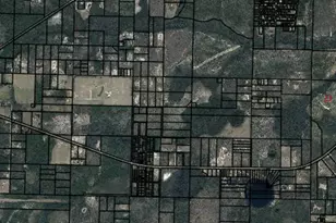 Tbd Cr-274, Altha, FL 32421 - Photo 1