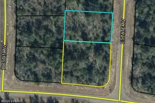 Lot 19-20 Estate Ave, Chipley, FL 32428 - Photo 1
