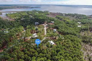 6513 Golden Aster Trail, Panama City Beach, FL 32413 - Photo 1