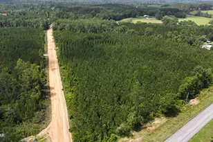 00 Douglas Ferry Rd, Chipley, FL 32428 - Photo 1