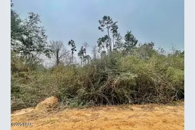 0 Tamarac Road, Marianna, FL 32448 - Photo 1