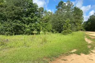 0000 Oak Dr, Marianna, FL 32446 - Photo 1