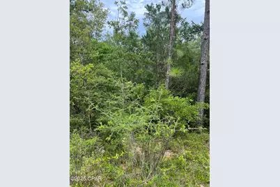 00 Aster Circle, Marianna, FL 32448 - Photo 1