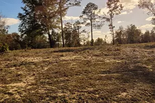 Tbd Sunny Hills Blvd, Chipley, FL 32428 - Photo 1