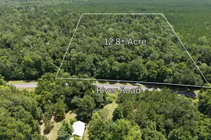 0 River Rd Rd, Bascom, FL 32423 - Photo 1