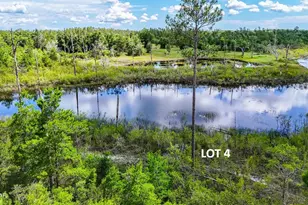 Lots 4 Lake Ridge Rd, Chipley, FL 32428 - Photo 1