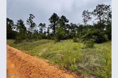 Tbd Wildrose Lane, Chipley, FL 32428 - Photo 1