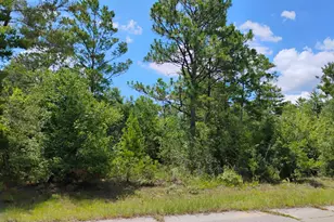 Lot 4 Upland Pl, Chipley, FL 32428 - Photo 1