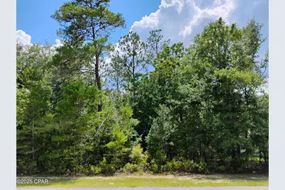 Lot 3 Shenandoah Boulevard, Chipley, FL 32428 - Photo 1