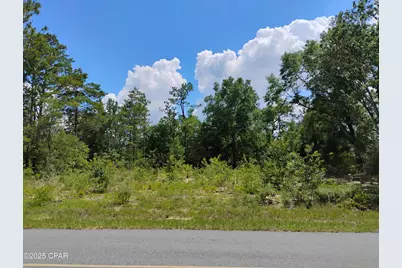 Lot 2 Walkerton Drive, Chipley, FL 32428 - Photo 1