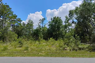 Lot 2 Walkerton Dr, Chipley, FL 32428 - Photo 1