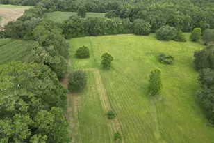 2038 Caney Branch Rd, Bonifay, FL 32425 - Photo 1