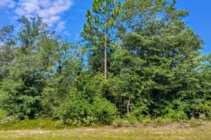 Lot 10 Challenger Blvd, Chipley, FL 32428 - Photo 1