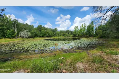 7617 Green Road, Sneads, FL 32460 - Photo 1