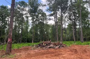 2852 Lovewood Dr, Cottondale, FL 32431 - Photo 1