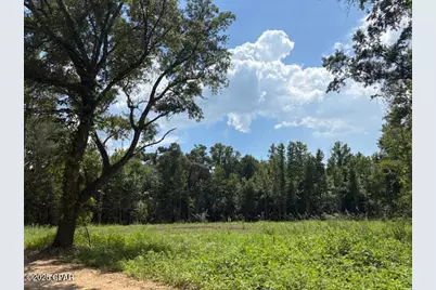 0 Bonnet Pond Road, Cottondale, FL 32431 - Photo 1