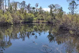 00 Olivia St, Fountain, FL 32438 - Photo 1