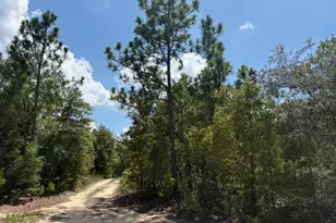 0 Pinellas Dr, Chipley, FL 32428 - Photo 1