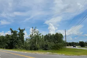 0 Hwy 2301 & Camp Flowers Rd, Youngstown, FL 32466 - Photo 1