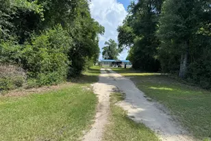 5574 Fort Rd, Greenwood, FL 32443 - Photo 1