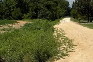 00 Pandora Rd, Marianna, FL 32448 - Photo 1