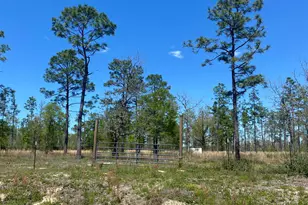 12601 E Hwy 20, Fountain, FL 32438 - Photo 1