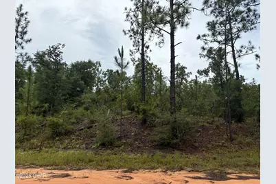 Lot 29 Odum Street, Alford, FL 32420 - Photo 1