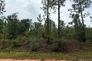 Lot 29 Odum St, Alford, FL 32420 - Photo 1
