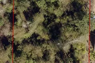 0 Krocus St, Fountain, FL 32438 - Photo 1