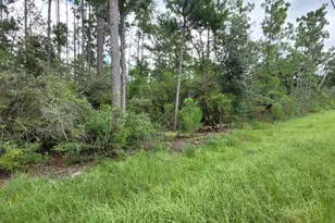 0 Owenwood Rd, Fountain, FL 32438 - Photo 1