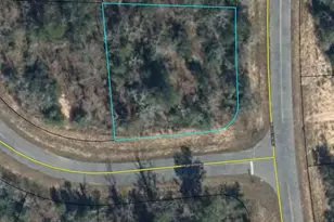 Tbd Medford Ave, Chipley, FL 32428 - Photo 1