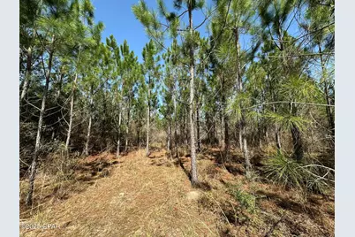Tract#6416 Douglas Ferry North, Caryville, FL 32427 - Photo 1