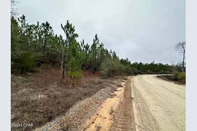 Tract 6418 Mattox Spring #Southern Winds, Caryville, FL 32427 - Photo 1