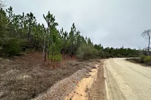 Tract 6418 Mattox Spring, Caryville, FL 32427 - Photo 1