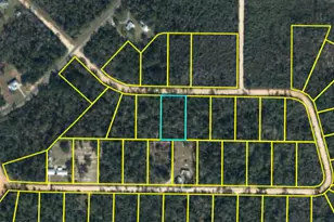 0000 Deer Run Circle, Alford, FL 32420 - Photo 1