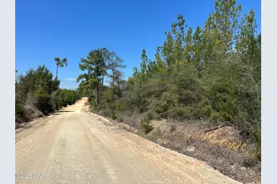 Tract# Mattox Springs Road, Caryville, FL 32427 - Photo 1