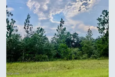 A Nortek Boulevard, Marianna, FL 32448 - Photo 1