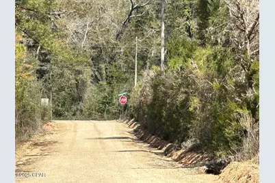 Tract#6418 NE Mattox Springs Road, Caryville, FL 32427 - Photo 1