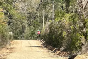 Tract#6418 NE Mattox Springs Rd, Caryville, FL 32427 - Photo 1