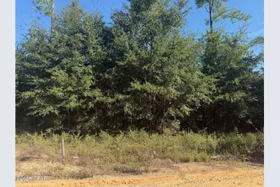 Xxx Finch Circle, Chipley, FL 32428 - Photo 1