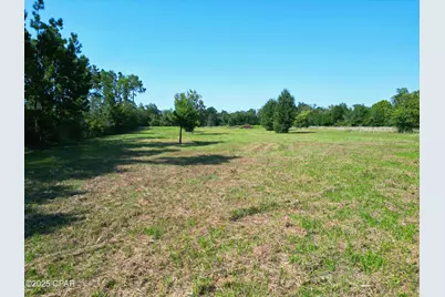 Tbd NW County Road 274, Altha, FL 32421 - Photo 1