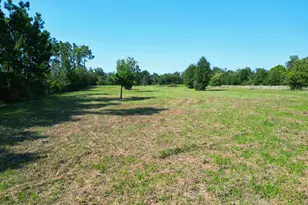 Tbd NW County Road 274, Altha, FL 32421 - Photo 1