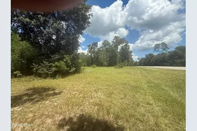 00 Blue Springs Road, Greenwood, FL 32443 - Photo 1